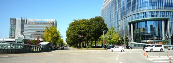 国道8号線に向かって50m道路を走ります。